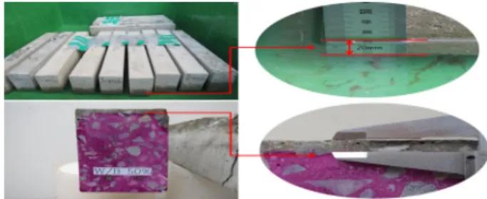 Table 4 Damaged thickness due to calcium leaching(mm) Type 40OPC 50OPC 60OPC FA10 FA20 BFS30 BFS50 Damaged 
