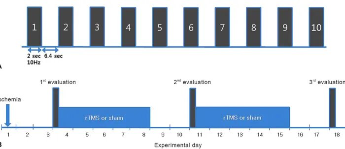 Figure 1. Stimulation method of rTMS for a session (A) and experimental schedule (B). Ten 2 s trains at a rate of 10 Hz  with 6.4 s inter-train interval per a day (A)