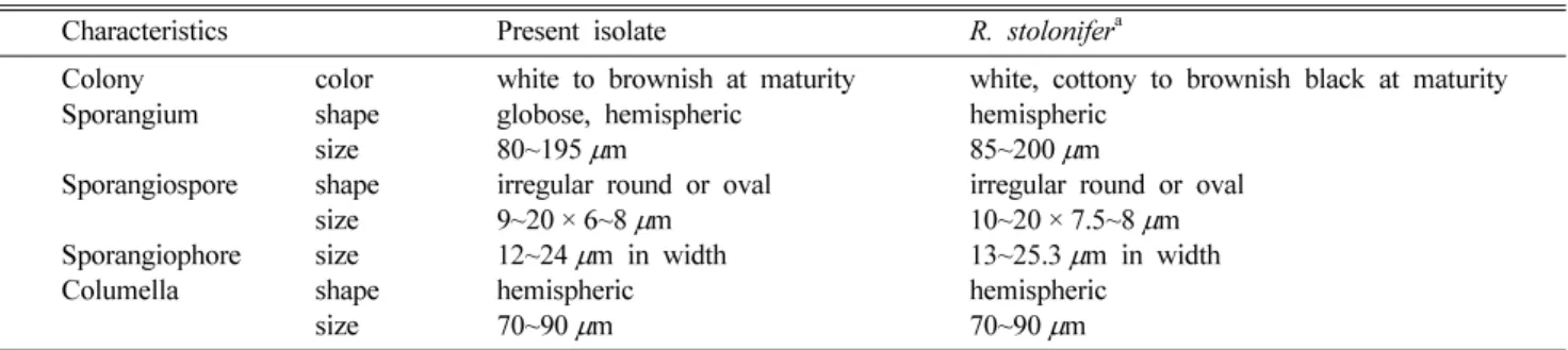 Table 1. Comparison of morphological characteristics of the pathogenic fungus isolated from melon ( Cucumis melo  L.) with Rhizopus stolonifer