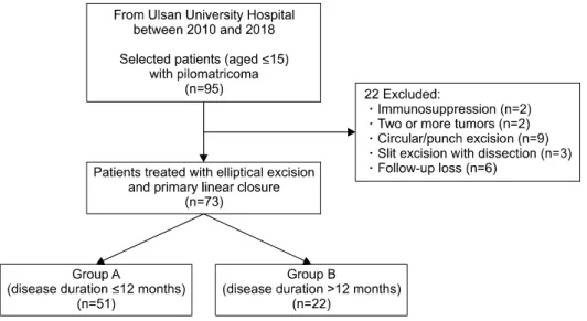 Fig. 1. Flow and distribution of  patients according to disease  dura-tion. Group A: early excision group,termine the optimal timing for treatment in pilomatricomas.