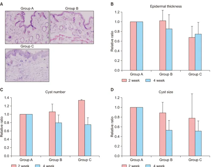 Fig. 2. (A) Histopathological findings of group A, group B and group C at week 4 (H&amp;E, ×200)