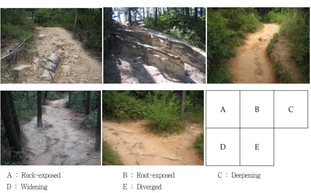 Fig. 3. The pattern of trail damage.