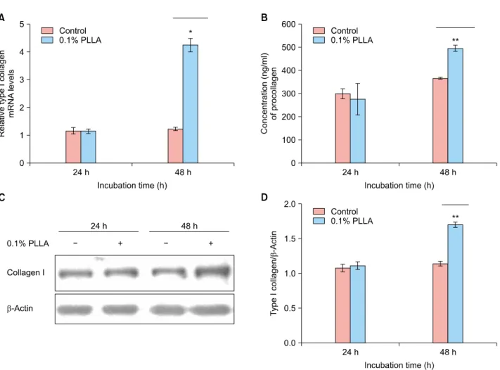 Fig. 1. Effect of PLLA on collagen synthesis. (A) Human fibroblast cell line (Hs68) was treated with PLLA at 0.1% concentration  for 24 and 48 hours