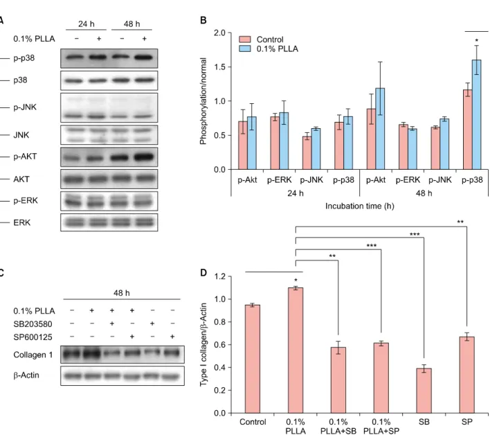 Fig. 2. (A) Activation of p38, JNK, and Akt is critical for PLLA-induced collagen I gene expression