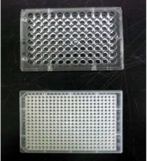 Fig.  1.  The  picture  of  the  well-plates  used.