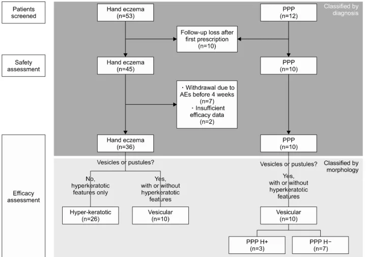 Fig. 1. Flow and distribution of patients according to diagnosis and lesion morphology