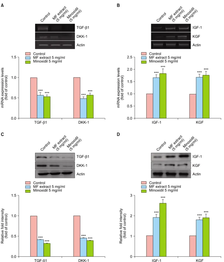 Fig. 4. Effect of Melandrium firmum (MF) extract on gene expressions in dorsal dermal tissues of C57BL/6J mice