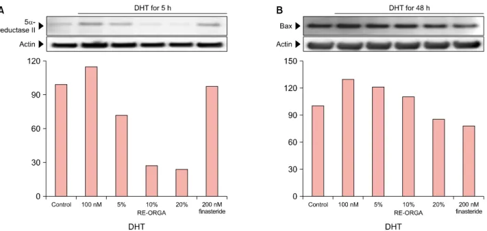 Fig. 2. Cell proliferation in human dermal papilla (DP) cells after  treatment with RE-ORGA at various concentrations