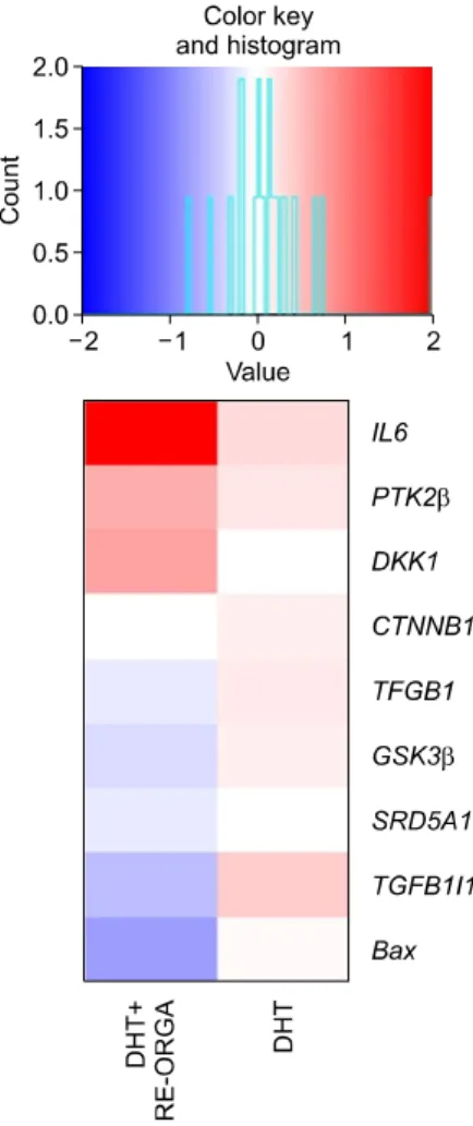 Fig. 4. RNA-seq analysis of dihydro- dihydro-testosterone (DHT)-stimulated  der-mal papilla (DP) cells treated with  or without RE-ORGA