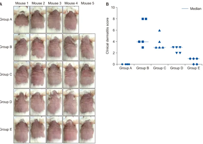 Fig. 2. Clinical features and clinical dermatitis scores of mice in each group after administration with phosphate-buffered saline (PBS; 