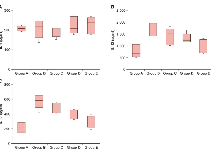 Fig. 4. Serum total immunoglobulin E (IgE) before and after administration of phosphate-buffered saline (PBS; group A and B) and  glucosamine (GlcN; groups C, D, and E)