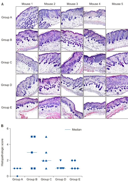 Fig. 5. Histopathological findings  and histopathological scores of each group after administration with  pho-sphate-buffered saline (PBS; group  A and B) or glucosamine (GlcN; 