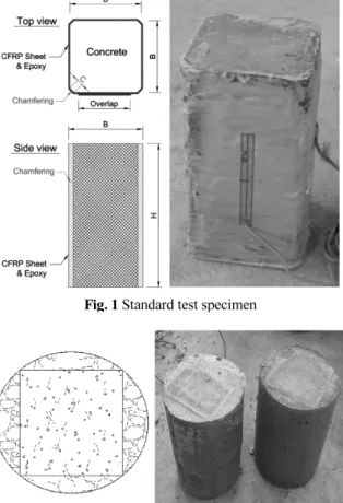 Fig. 1 Standard test specimen