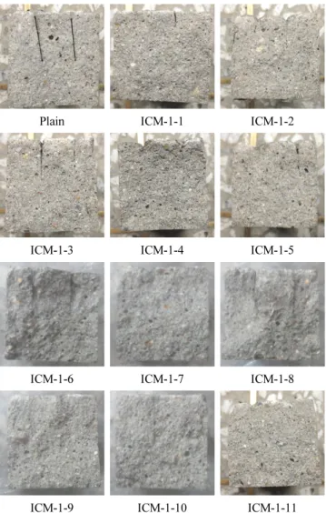 Table 5 Selection of the ICM according to each experiment
