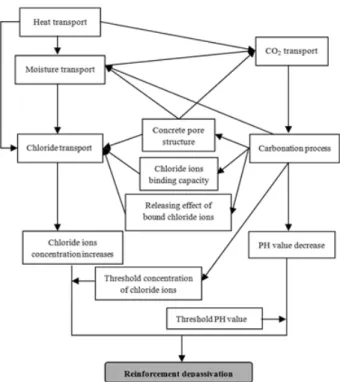 Fig. 2 Structure of the numerical model콘크리트 임계 반지름의 변화를 반영하는 경험적 공식과 중성화에 의한 constrictivity 변화에 대한 영향함수는 매우 복잡하다