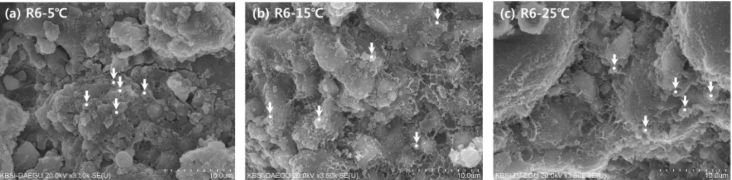 Fig. 7 SEM SE images of R6 specimen immersed in sea water at (a) 5°C, (b) 15°C, and (c) 25°C