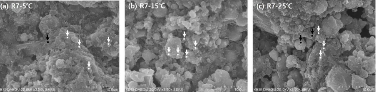 Fig. 8 SEM SE images of R7 specimen immersed in sea water at (a) 5°C, (b) 15°C, and (c) 25°C