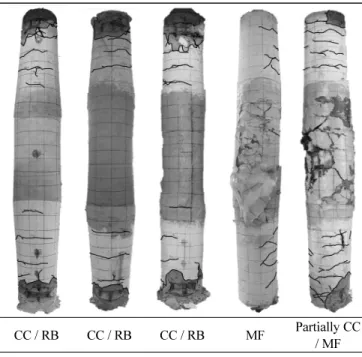 Fig. 7 Figuration of failure mode 
