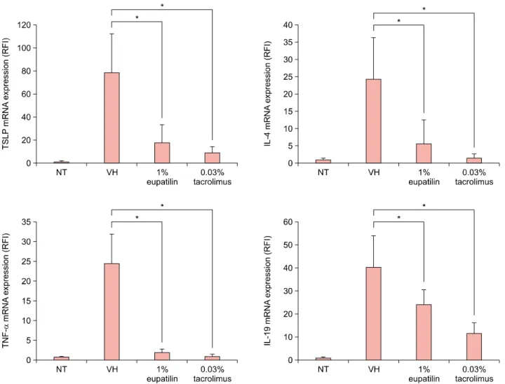 Fig. 4. Effects of 1% eupatilin on mRNA expression of thymic stromal lymphopoietin (TSLP), tumor necrosis factor (TNF)-α, interleukin  (IL)-4, IL-5, IL-13, IL-19, and interferon (IFN-γ) in the ears of NC/Nga mice