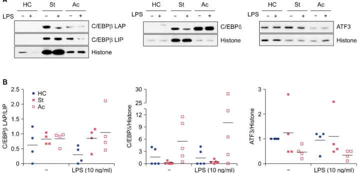 Fig. 3. Protein levels of CCAAT-enhancer-binding proteins (C/EBPβ), C/EBPδ, and activating transcription factor 3 (ATF3) in peripheral  blood mononuclear cells (PBMCs) from Behçet disease (BD) patients