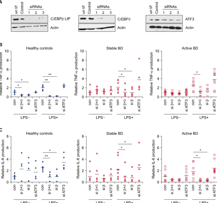 Fig. 4. Suppressive effect of siRNA targeting CCAAT-enhancer-binding proteins (C/EBP) β and C/EBPδ on the production of tumor  necrosis factor (TNF)-α and interleukin (IL)-6