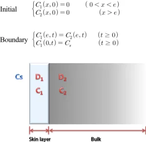 Fig. 1 Schematic diagram of double-layer concrete 2. 이중 콘크리트 구조에서의 염화물 확산계수 다공성 매체를 통과하는 염화물 거동은 식 (1)과 같은 Fick’s 2nd law 에 의해 구현할 수 있으며, 반무한 매개체(Semi-infinite composite medium)에서의 염화물농도 와 확산계수 의 초기값 및 경계조건을 나타내면 식 (2a), (2b)와 같이 쓸 수 있다(Thomas and Bentz,