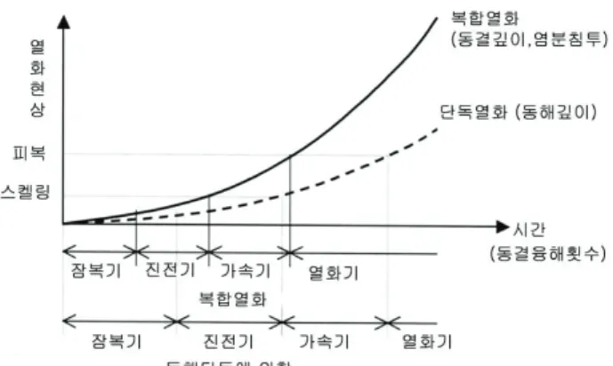 Fig.  1  Combined  Deterioration  Model  by  Freezing  &amp;  Thawing  Action and Chloride Penetration