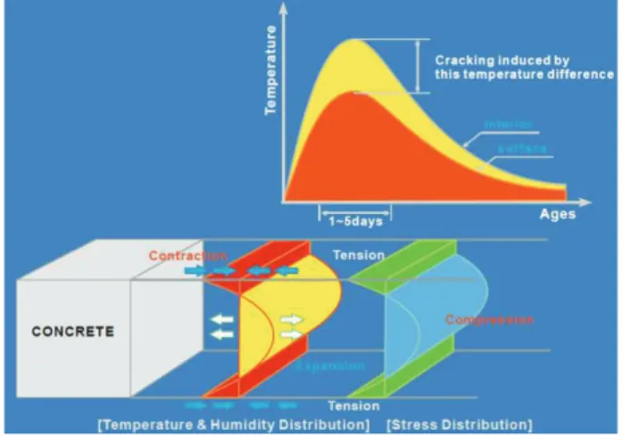 Fig. 2 Internal Stress Induce by Temperature Gradient