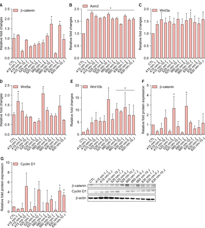 Fig. 2. Effects of light-emitting diode (LED) light on the mRNA expression of β-catenin (A), Axin2 (B), Wnt3a (C), Wnt5a (D) and  Wnt10b (E) in human dermal papilla cells (hDPCs)