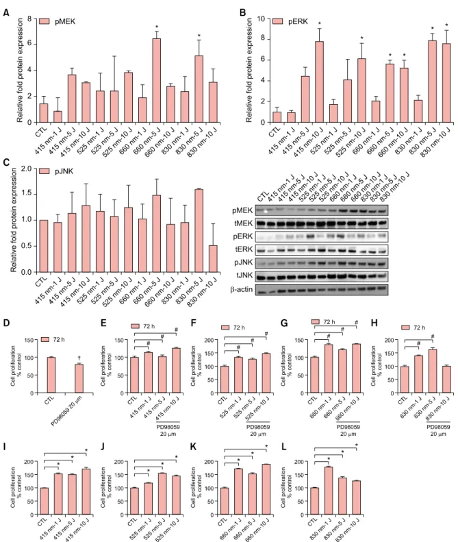 Fig. 3. Effects of light-emitting diode (LED) light on the phosphorylation of MEK (A), extracellular signal-regulated kinase (ERK) (B),  and c-Jun N-terminal kinase (JNK) (C) in human dermal papilla cells (hDPCs)
