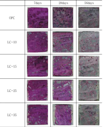 Table 6 Accelerated carbonation test results of each concrete
