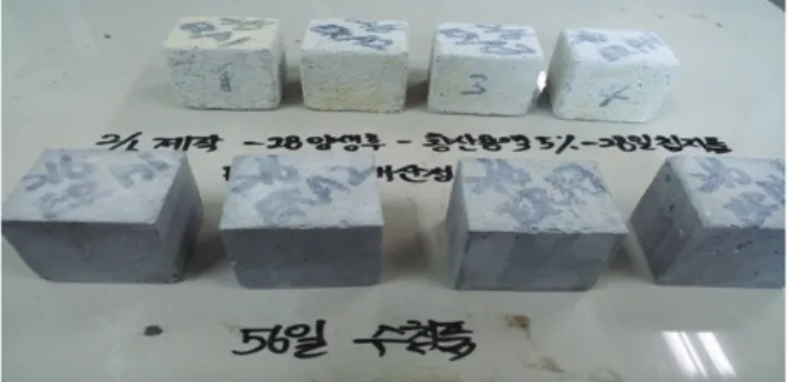 Fig.  12  CSA  contents  versus  compressive  strength  reducing  ratio of polymer-modified mortars in H 2 SO 4