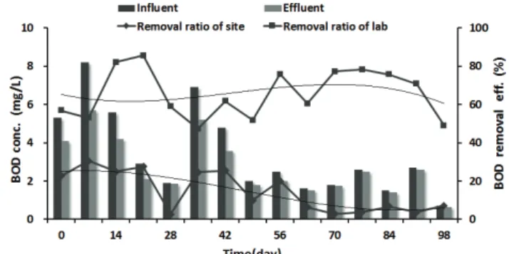 Fig. 7 Change of SS concentration with the passage of time