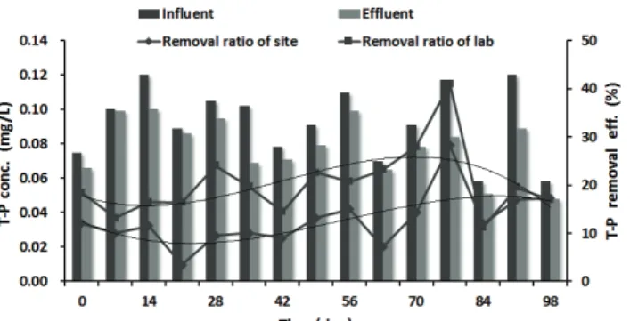 Fig. 11 Change of T-P concentration with the passage of time