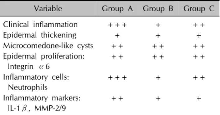 Fig. 2. Improvement in epidermal hyperplasia and microcomedone-like cysts in group B and group C was similar to that in group A.