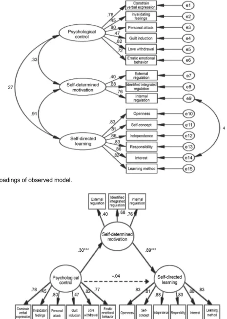 Figure 2. Factor loadings of observed model.