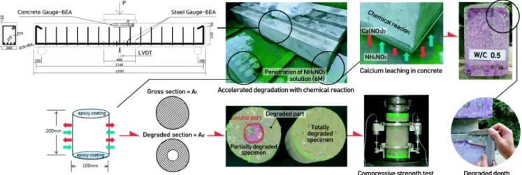 Fig. 1 Scheme of concrete degradation method며,  콘크리트의 내구성 변화와 구조물 성능 변화의 연계성에 