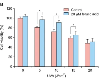 Fig. 1. Effects of ferulic acid on human dermal fibroblast (HDF)  cell proliferation. HDF cells (3×10 3  cells/well) were seeded into 96-well plates and treated with the indicated concentrations of  ferulic acid for 24 h