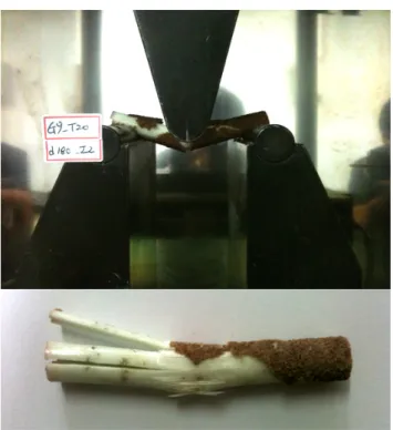 Fig. 2에서는 ADS  시편과 TADS  시편의 ISS  강도를 알칼 리  노출시간에  대하여  비교하여  나타내고  있다. NDS 시편  및  TDS  시편의  강도를  기준으로  하였고,  이후  장기  알칼리  노출에 따른 실험결과를 나타내었다 