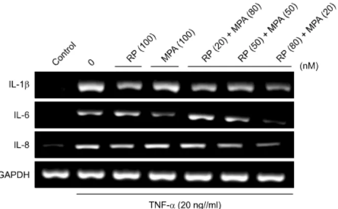 Fig. 2. Effects of a combination of rapamycin (RP) and mycop- mycop-henolic acid (MPA) on tumor necrosis factor (TNF)-α-induced  expression of pro-inflammatory genes in HaCaT cells