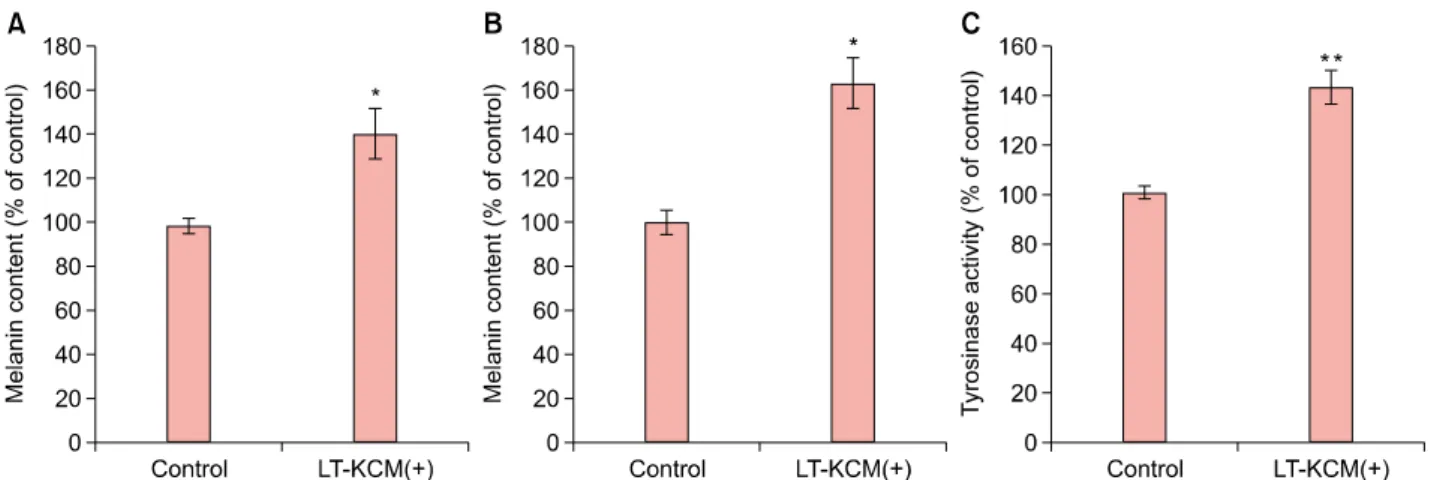 Fig. 2. Laser-treated keratinocyte-conditioned medium (LT-KCM) induced increased melanin content and tyrosinase activity