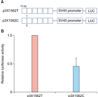 Table 5. Logistic regression analysis of the rs355022 SNP in the PDPN gene using combined data from the initial and replicate samples rs number (allele A/ allele B) Group Genotype frequency MAF