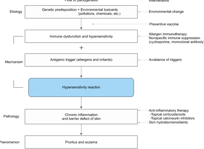 Fig. 1. One-way vertical flow pathogenesis model of atopic dermatitis. This vertical model suggests that (1) environmental toxicants  (e.g., volatile inorganic chemicals, air pollution, and food additives) induce immune dysfunction and hypersensitivity in 