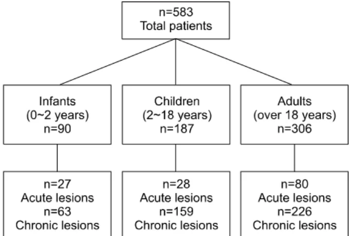 Fig. 1. Patient characteristics.