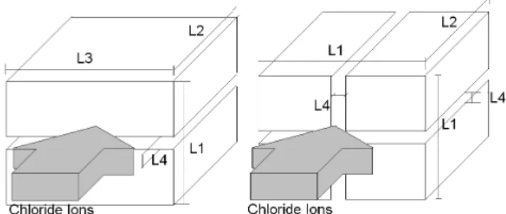 Fig. 1 REV of chloride diffusion in cracked concrete  (1-D Anisotropic and 2-D Isotropic)