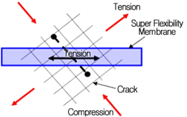 Fig.  1  Relative  behavior  between  Super  Flexibility  Membrane  and RC column 