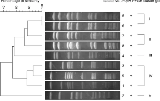 Table 2. Antimicrobial activity of fusidic acid and retapamulin against mupirocin- and methicillin-resistant Staphylococcus aureus isolates MUP-R level  (tested no.) Antimicrobialagent MIC (μg/ml) Resistance (%)