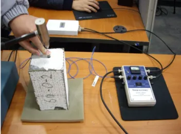 Fig. 1 Impact-Echo Test