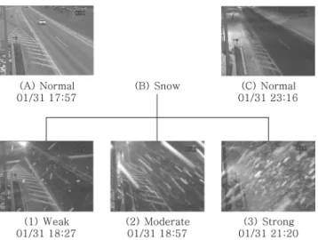 Fig. 21 Snow image - 12/01/31