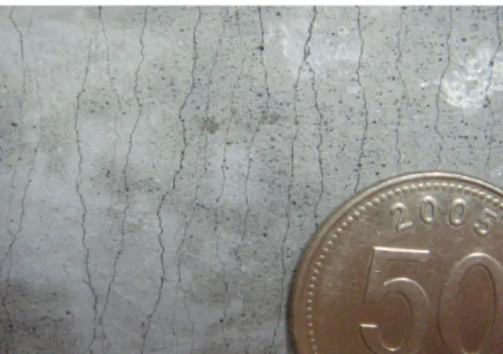 Fig. 12 Cracking pattern 효과로  증가된  매트릭스  강도를  인공결함으로  감소시키고 ,  시편  내에서  무작위로  존재하던  결함을  인공결함  도입으로  고르게 함으로써 위치별 매트릭스 강도 편차를 줄인 것이다 